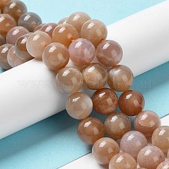 Natural Sunstone Beads Strands&nbsp;G-N327-01B-03