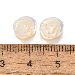 Natural White Shell Beads&nbsp;BSHE-Z008-04