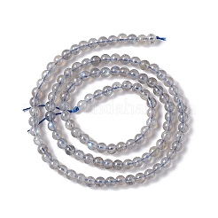Natural Labradorite Beads Strands&nbsp;G-G933-02