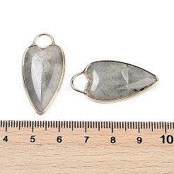 Natural Labradorite Pendants&nbsp;G-G193-02G-05