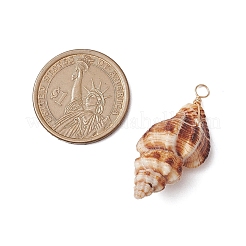 Natural Spiral Shell Pendants&nbsp;PALLOY-JF02950