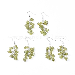 Dangle Earrings&nbsp;EJEW-E255-A11