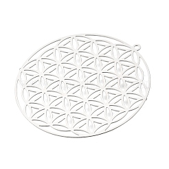 201 Stainless Steel Pendants&nbsp;STAS-G396-04P