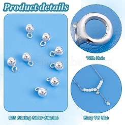12Pcs 925 Sterling Silver Charms&nbsp;STER-PH0002-43