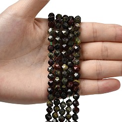Natural Dragon Blood Beads Strands&nbsp;G-Z119-A17-01