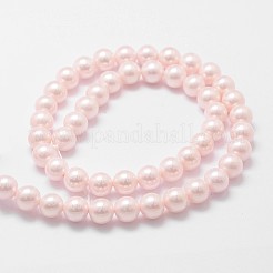 Shell Pearl Bead Strands&nbsp;BSHE-L025-06-8mm
