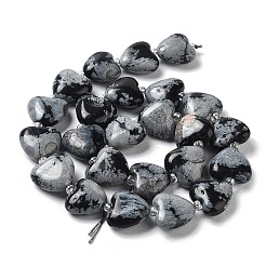 Natural Snowflake Obsidian Beads Strands&nbsp;G-E614-A16-01