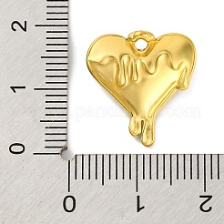 Ion Plating(IP) 304 Stainless Steel Pendants&nbsp;STAS-D194-05G