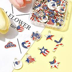 60Pcs 15 Styles Independence Day Alloy Enamel Pandants&nbsp;FIND-FS0004-41
