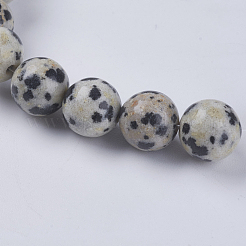 Natural Dalmation Jasper Beads Strands&nbsp;X-G-G515-8mm-06