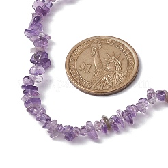 Natural Amethyst Chip Beaded Necklace&nbsp;NJEW-JN04615-06