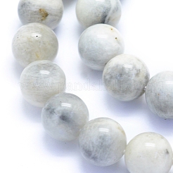 Natural Grey Moonstone Beads Strands&nbsp;G-I279-C01-10mm