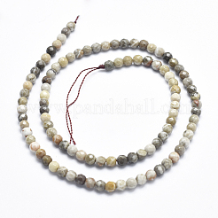 Natural Fossil Coral Beads Strands&nbsp;G-K256-11-4mm