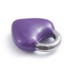 304 Stainless Steel Charms&nbsp;STAS-I148-01P-06