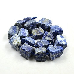 Nuggets Natural Lapis Lazuli Beads Strands&nbsp;G-N0135-06