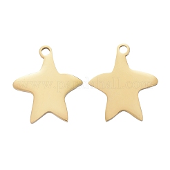 304 Stainless Steel Pendants&nbsp;STAS-I140-13G