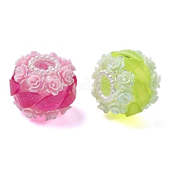 Acrylic & Resin Beads&nbsp;AC-CBA30D1-02