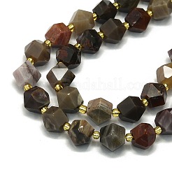 Natural Petrified Wood Beads Strands&nbsp;G-I376-A30-01