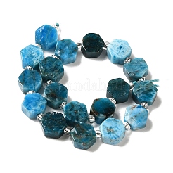 Natural Apatite Beads Strands&nbsp;G-P534-A02-01