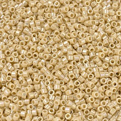MIYUKI Delica Beads&nbsp;SEED-JP0008-DB1571