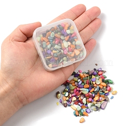 50G Dyed Natural Freshwater Shell Chip Beads&nbsp;BSHE-YW0001-04