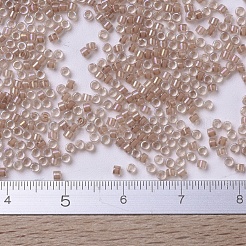 MIYUKI Delica Beads&nbsp;SEED-JP0008-DB0069
