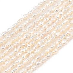Natural Cultured Freshwater Pearl Beads Strands&nbsp;PEAR-F020-14