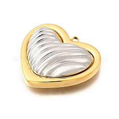 304 Stainless Steel Pendants&nbsp;STAS-M123-03I-PG02