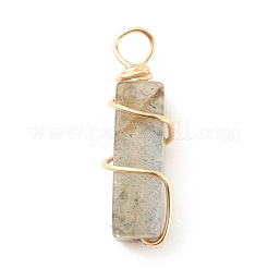 Natural Labradorite Pendants&nbsp;PALLOY-JF01581-01