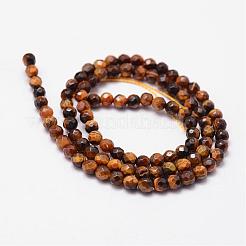 Natural Tiger Eye Beads Strands&nbsp;G-N0179-16-4mm