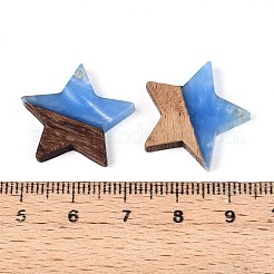 Resin & Walnut Wood Pendants&nbsp;RESI-T057-37C