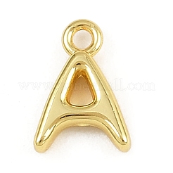 Stainless Steel Charms&nbsp;KK-I352-02G-1