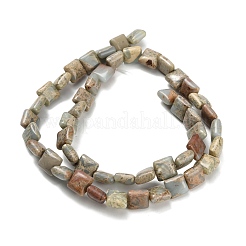 Natural Aqua Terra Jasper Beads Strands&nbsp;G-Z110-H01-8x8mm