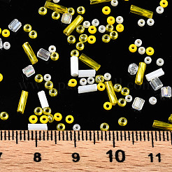 FGB Glass Seed Beads&nbsp;SEED-S056-002