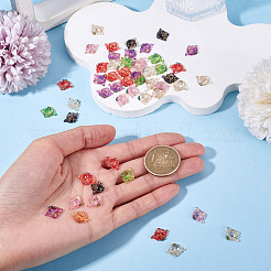 50Pcs Translucent Resin Cabochons&nbsp;RESI-TA0005-66