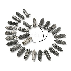 Natural Map Stone Double Terminated Point Beads Strands&nbsp;G-H069-A09-01