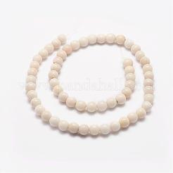 Natural White Jade Bead Strands&nbsp;G-G666-09