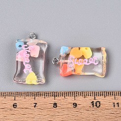 Transparent Resin Pendants&nbsp;RESI-T056-06