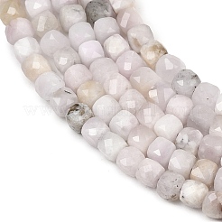 Natural Kunzite Beads Strands&nbsp;G-P612-B03-01