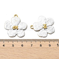 Spray Painted 304 Stainless Steel Pendants&nbsp;STAS-T076-05G