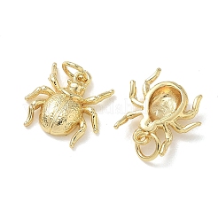 Halloween Brass Charms&nbsp;KK-T085-20A-G