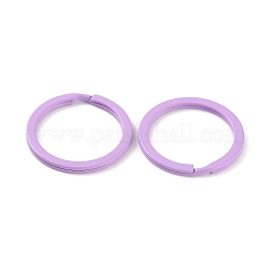Spray-painted Iron Keychains Clasps&nbsp;IFIN-WH0063-13D