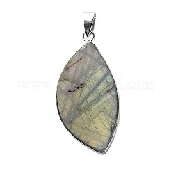 Natural Labradorite Teardrop Pendants&nbsp;G-L350-03