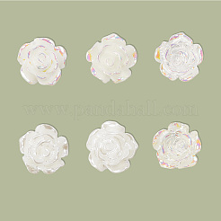 12 Pairs 6 Styles Resin Stud Earrings&nbsp;EJEW-SP0001-14