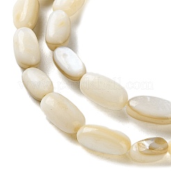 Natural Trochus Shell Beads Strands&nbsp;SHEL-G020-03B
