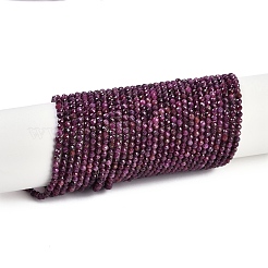 Natural Ruby Beads Strands&nbsp;G-P553-G01-02