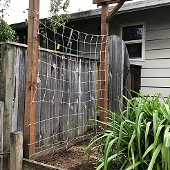 Polyester Plant Trellis Netting for Garden&nbsp;AJEW-WH0609-869