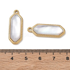 Natural Freshwater Shell Pendants&nbsp;SA-CBA11D7-20A-G
