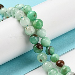 Natural Chrysoprase Beads Strands&nbsp;G-P503-8MM-03