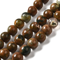 Natural Rhyolite Jasper Bead Strands&nbsp;G-G684-01-8mm